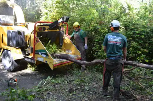 tree services Whiteriver